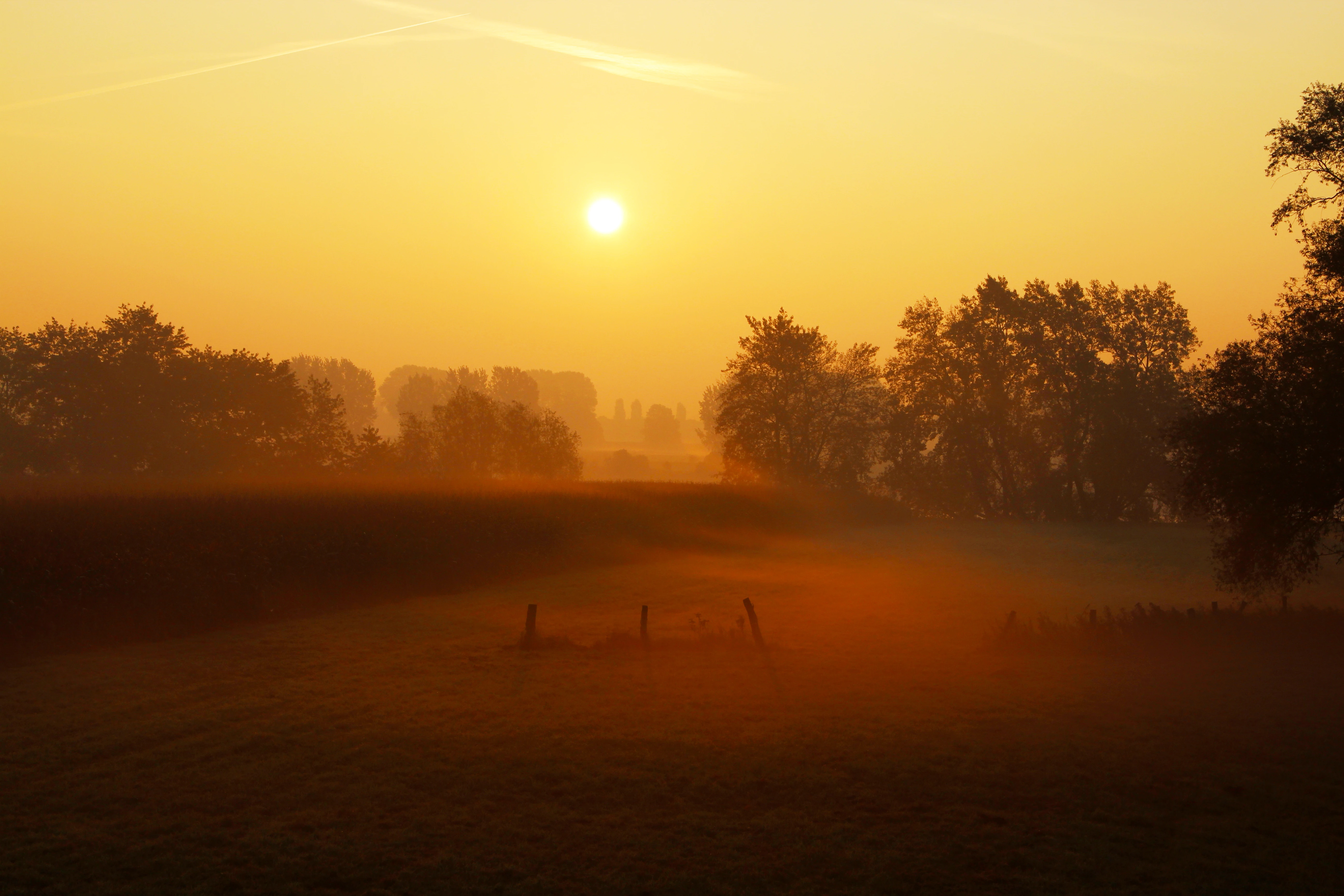 Meerbusch Sonnenaufgang Rheinwiesen